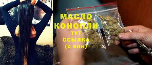 гидра Богородск