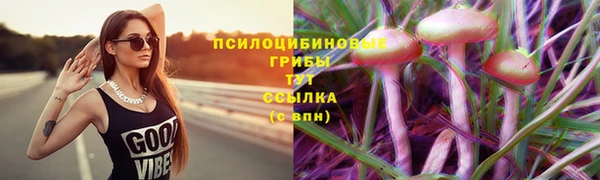 мдпв Беломорск