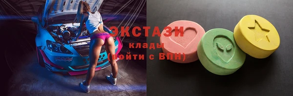 гидра Богородск