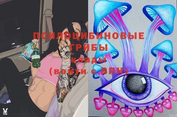 шишки Богданович