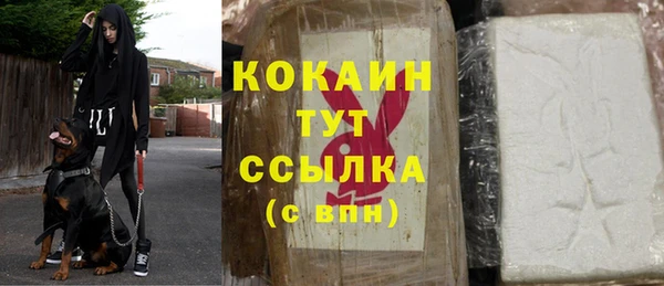 гидра Богородск