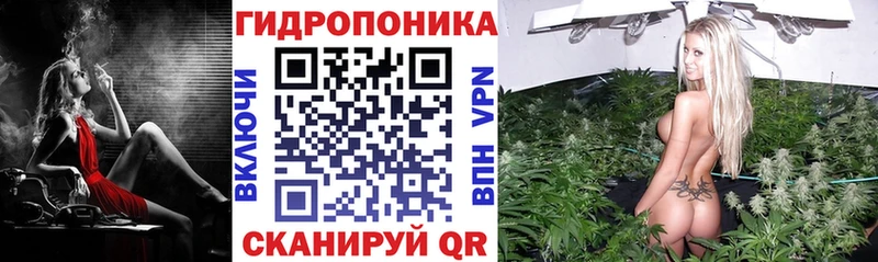 OMG tor  как найти закладки  Пушкино  Каннабис AK-47 